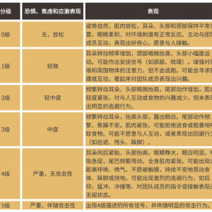 別讓你的馬“忍辱負重”！讀懂馬的疼痛、刻板行為與應(yīng)激