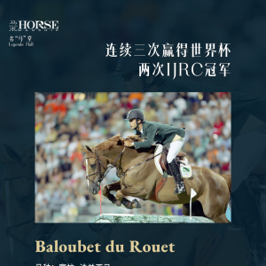 “人馬合一”的奇跡，是靠馬的天賦還是騎手的技巧？